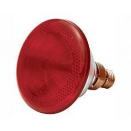 POLTEK POULTRY INFRA RED LAMP 175W 1/100