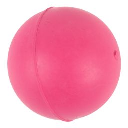 COMPLETE DOG TOY SOLID RUBBER BALL
