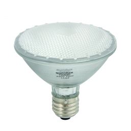 EUROLUX LAMP PAR30 75W CLEAR