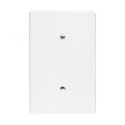 COVER PLATE BLANK 100X50MM